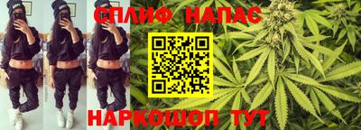 mdpv Кимры