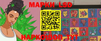 mdpv Кимры