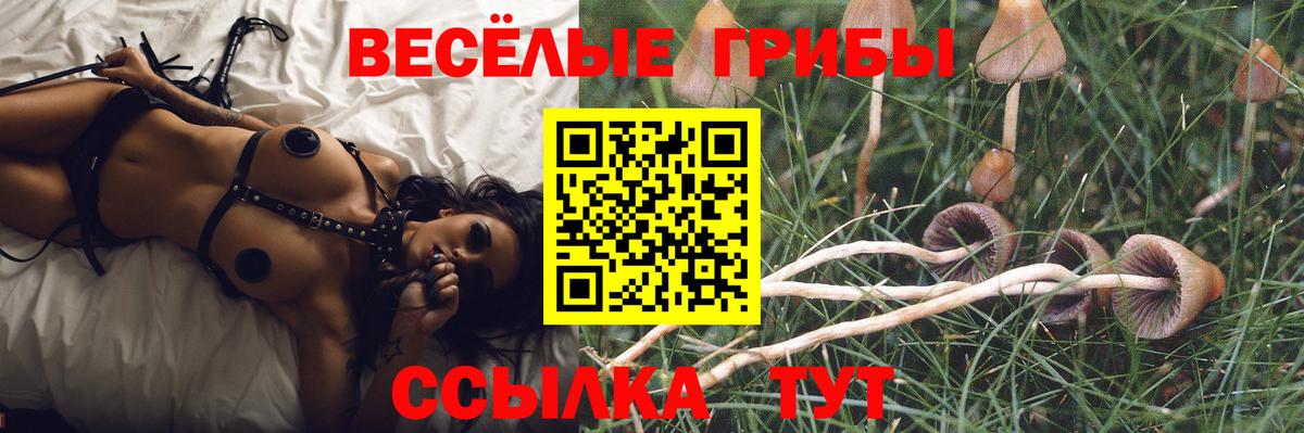 Псилоцибиновые грибы мицелий Ухта