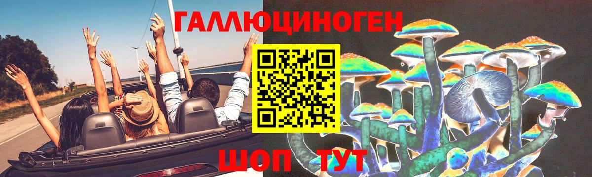 Галлюциногенные грибы Cubensis  Вход с VPN  Ухта 